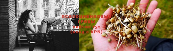 гидропоника Горнозаводск