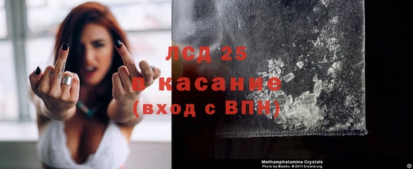 ГАЛЛЮЦИНОГЕННЫЕ ГРИБЫ Гусиноозёрск