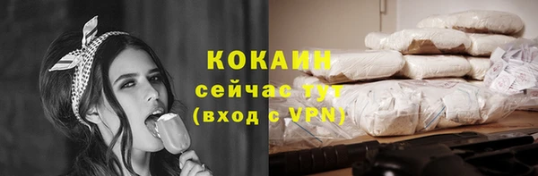 дживик Горняк