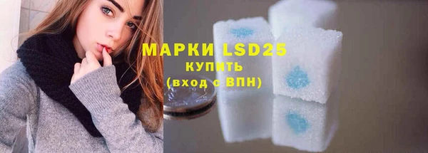 дживик Горняк