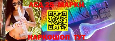 гидропоника Пенза