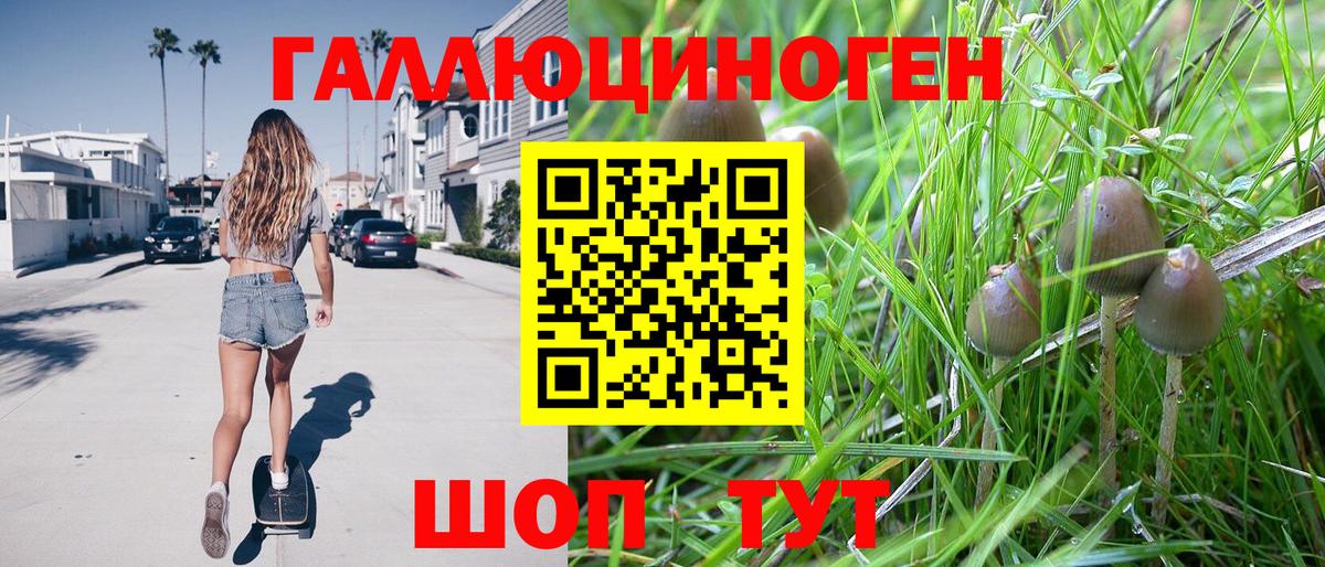 Маркс  как найти закладки  Вход с VPN  Псилоцибиновые грибы мухоморы 
