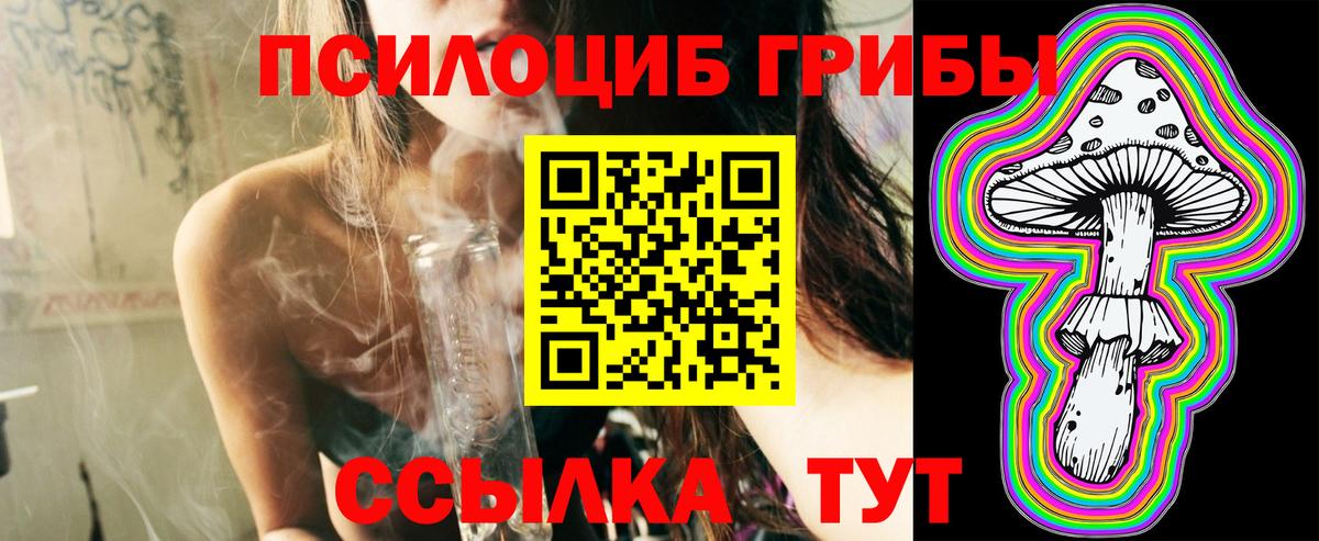 Псилоцибиновые грибы ЛСД  Маркс  Псилоцибиновые грибы GOLDEN TEACHER 